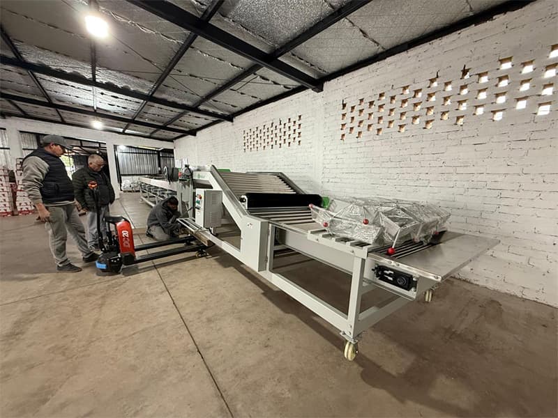 images/1751621353007garlic machine.jpg